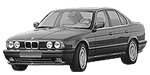 BMW E34 C251F Fault Code